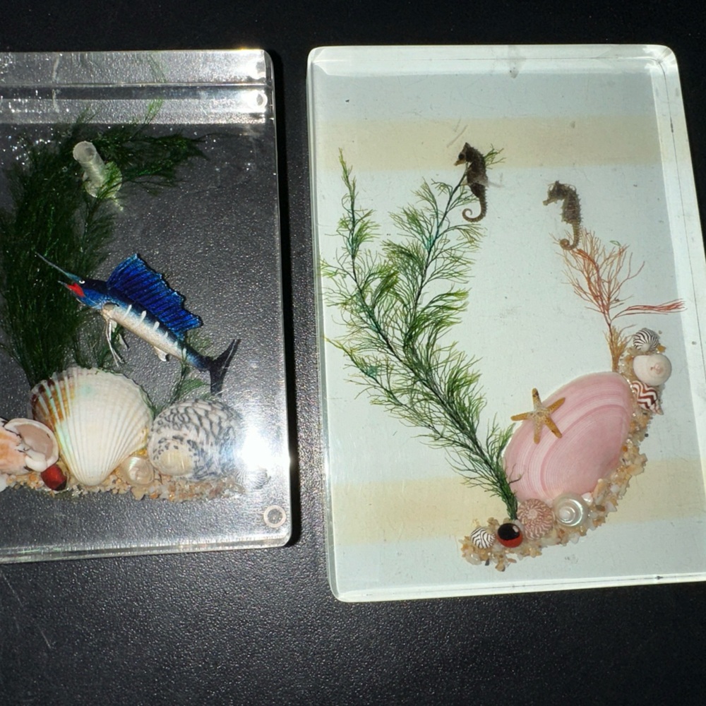 Amazing lucite ocean decoration Vintage